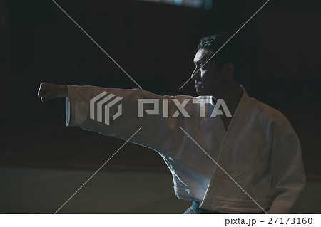 martial artist 27173160