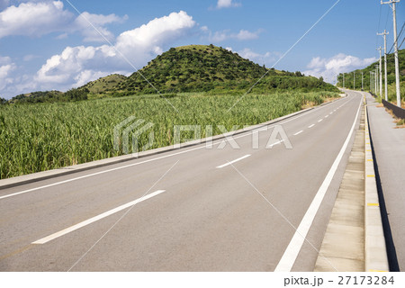 石垣島の道とサトウキビ畑 27173284