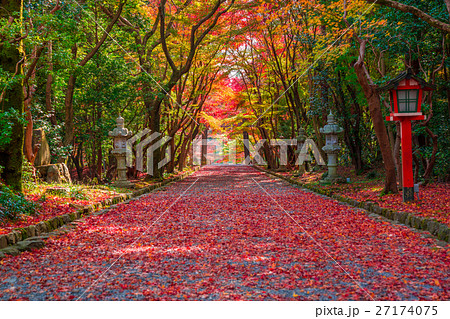 京都 大原野神社の紅葉 京都 大原野神社の紅葉 27174075