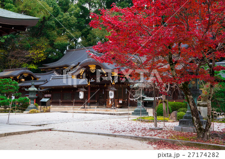 京都　今宮神社の紅葉　 27174282