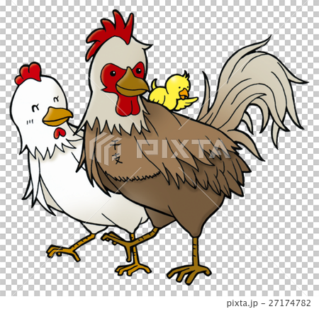 Chicken's family 27174782
