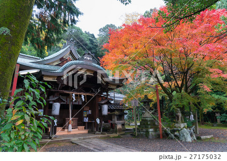 京都　粟田神社の紅葉 27175032