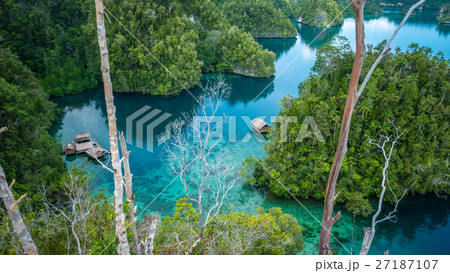 Bamboo Hut in Mangrove, Kabui Bay, Raja Ampat 27187107