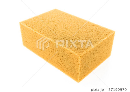 Micro sponge 27190970