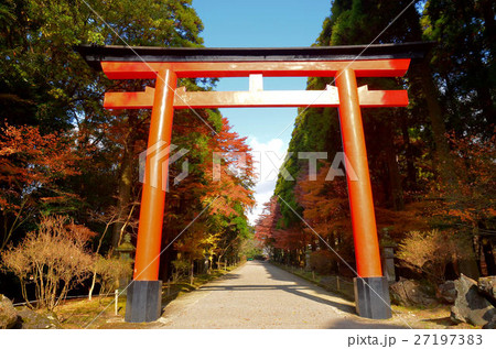 秋の霧島神宮 27197383