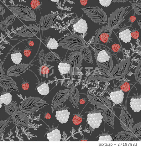 Seamless raspberry pattern. Cute hand drawing Seamless raspberry pattern. Cute hand drawing 27197833