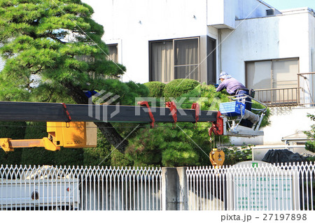 庭木の剪定 庭木の剪定 27197898