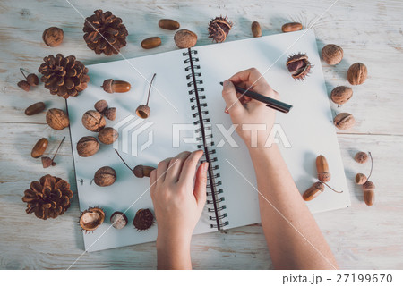 open notebook with acorns and cones 27199670