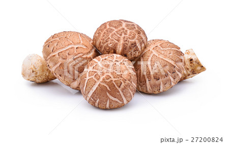 Shiitake Mushrooms on white background 27200824