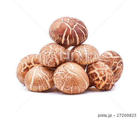 Shiitake Mushrooms on white background 27200825