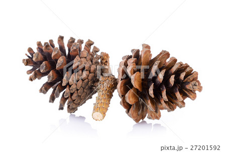 Pine cones isolated on white background 27201592