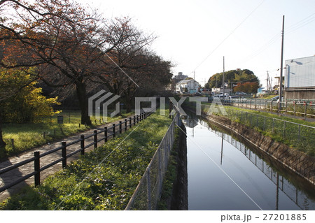 見沼代用水西縁(東浦和駅前) 見沼代用水西縁(東浦和駅前) 27201885