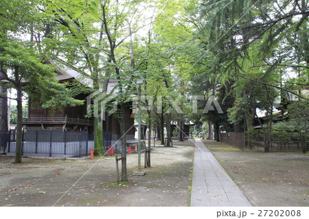 埼玉県 川口神社にて 埼玉県 川口神社にて 27202008