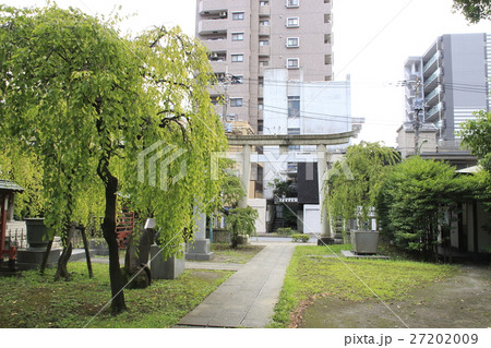 埼玉県 川口神社にて 27202009