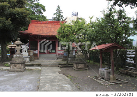 夏の飯塚氷川神社にて（埼玉県川口市） 27202301