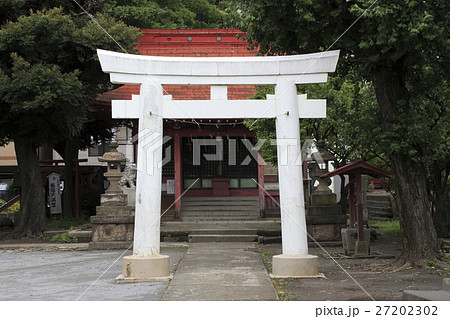 飯塚氷川神社にて（埼玉県川口市） 27202302
