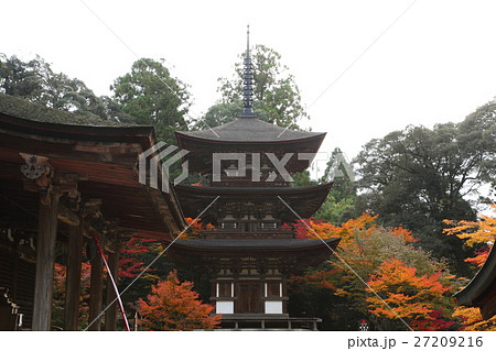 西明寺三重塔と紅葉 西明寺三重塔と紅葉 27209216