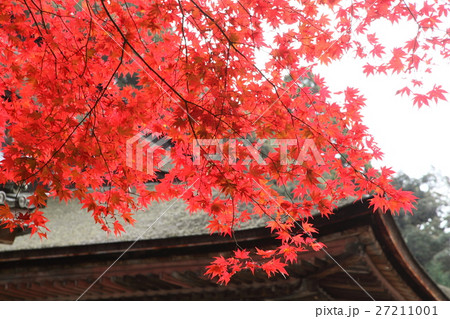 西明寺の紅葉 西明寺の紅葉 27211001