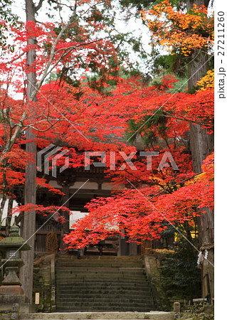 西明寺二天門の紅葉 27211260