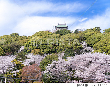 小牧山と小牧城と桜　遠景 27211377