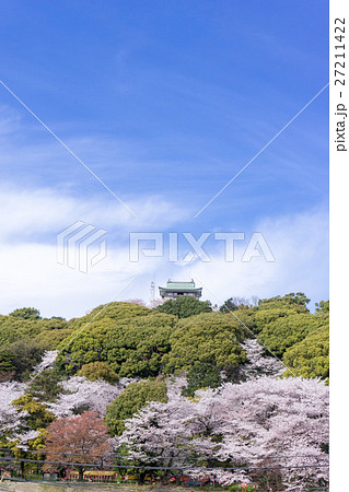 小牧山と小牧城と桜 遠景 小牧山と小牧城と桜 遠景 27211422
