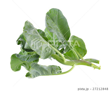 chinese broccoli on white background 27212848
