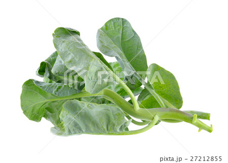 chinese broccoli on white background chinese broccoli on white background 27212855