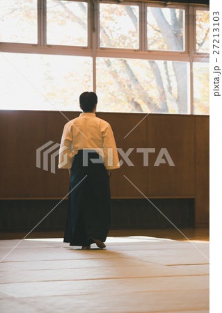 martial artist martial artist 27213103