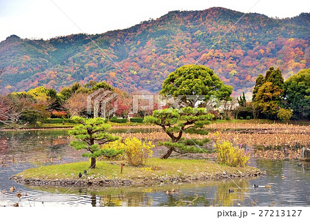 旧嵯峨御所 大覚寺 大沢池 菊ヶ島 紅葉の写真素材 [27213127] - PIXTA