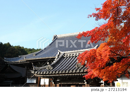 西教寺の紅葉 27213194