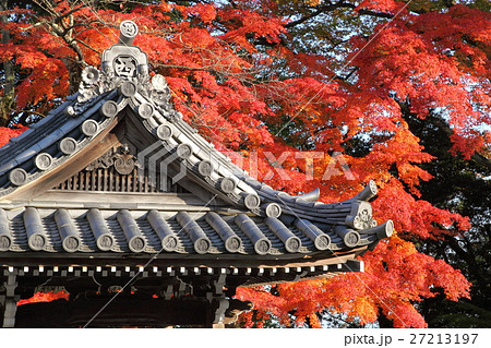 西教寺の紅葉 西教寺の紅葉 27213197