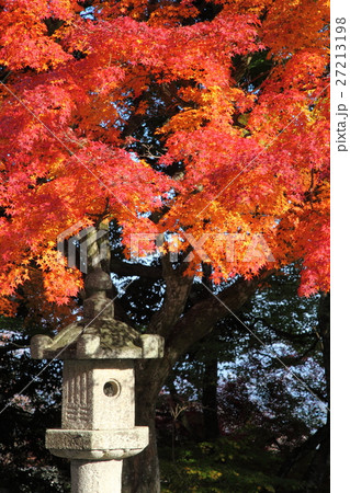 西教寺の紅葉 西教寺の紅葉 27213198