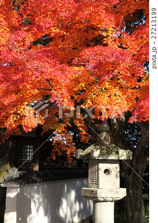 西教寺の紅葉 西教寺の紅葉 27213199