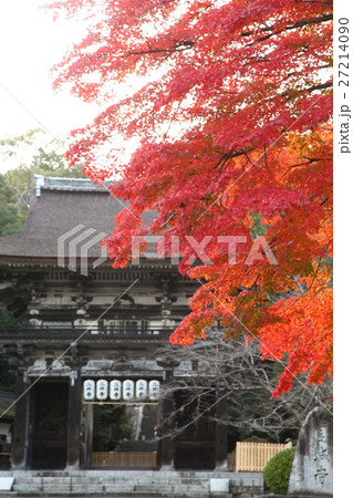 三井寺の紅葉と仁王門 27214090