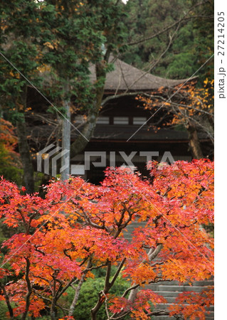 三井寺の紅葉と一切経蔵 三井寺の紅葉と一切経蔵 27214205