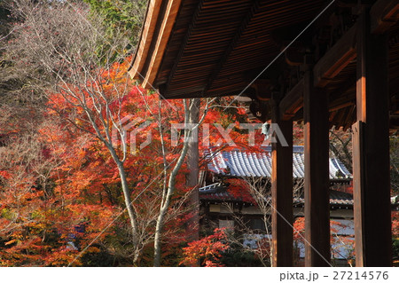 三井寺金堂と紅葉 27214576