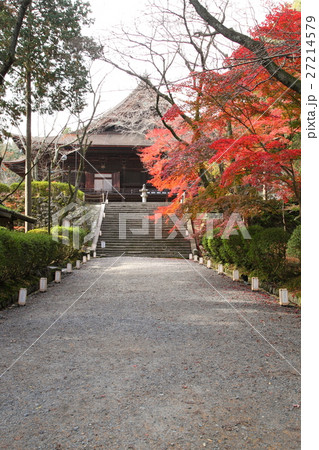 三井寺金堂前の紅葉 三井寺金堂前の紅葉 27214579