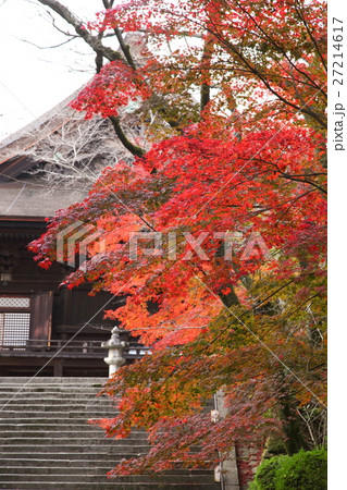 三井寺金堂前の紅葉 三井寺金堂前の紅葉 27214617