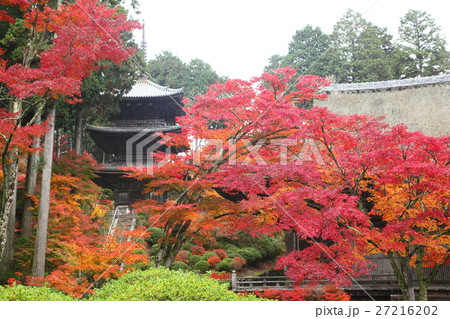 常楽寺の紅葉 27216202