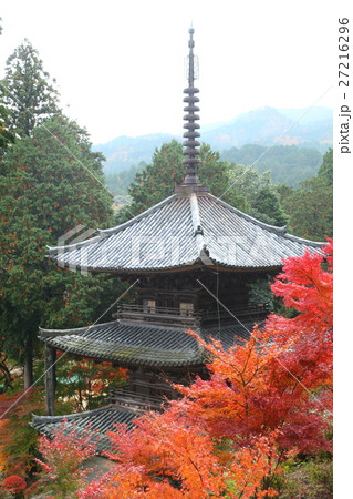 常楽寺の紅葉と三重塔 27216296