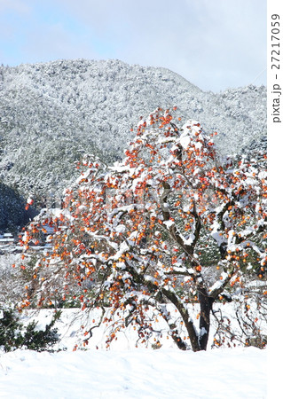 雪景色の大原の里 27217059