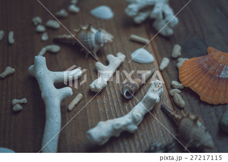 珊瑚の破片 27217115