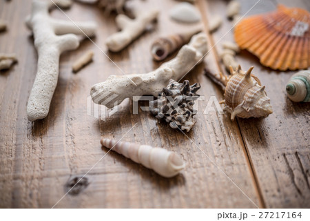 珊瑚の破片 珊瑚の破片 27217164