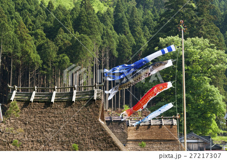 美山町かやぶきの里点景　鯉幟 27217307