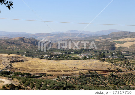Typical rural landscape. Andalusia, Spain 27217710