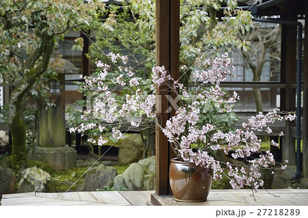 桜　生花 27218289