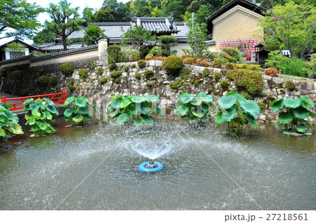 長弓寺庭園 27218561