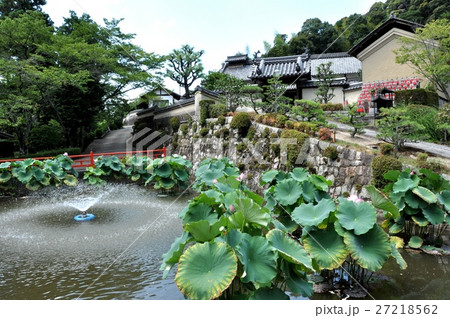 長弓寺庭園 27218562