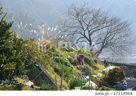 【滋賀県】琵琶湖の離島、沖島の里風景(千円畑) 【滋賀県】琵琶湖の離島、沖島の里風景(千円畑) 27219968