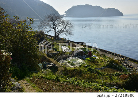 【滋賀県】琵琶湖の離島、沖島の里風景（千円畑） 27219980